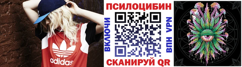 где купить наркотик  Александровск  Галлюциногенные грибы Magic Shrooms 